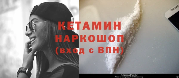 крисы Абаза