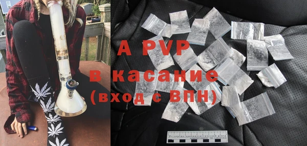 крисы Абаза