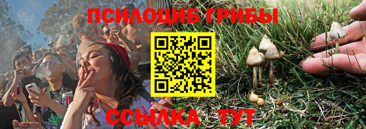 Псилоцибиновые грибы прущие грибы Златоуст