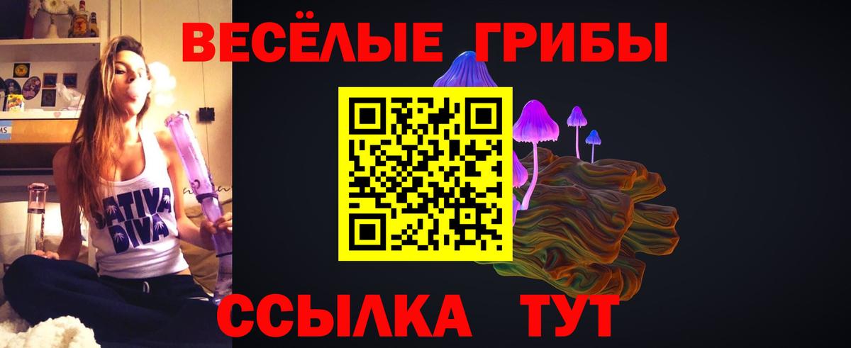 Псилоцибиновые грибы Cubensis  Галлюциногенные грибы Psilocybe  продажа наркотиков  Вход с VPN  Златоуст 